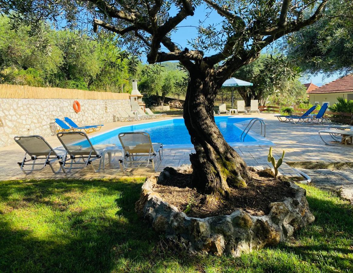 Olive Grove Poolside Apartments Μπενίτσες Εξωτερικό φωτογραφία